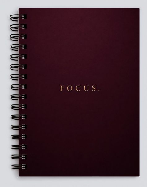 Planner FOCUS. com capa vinho